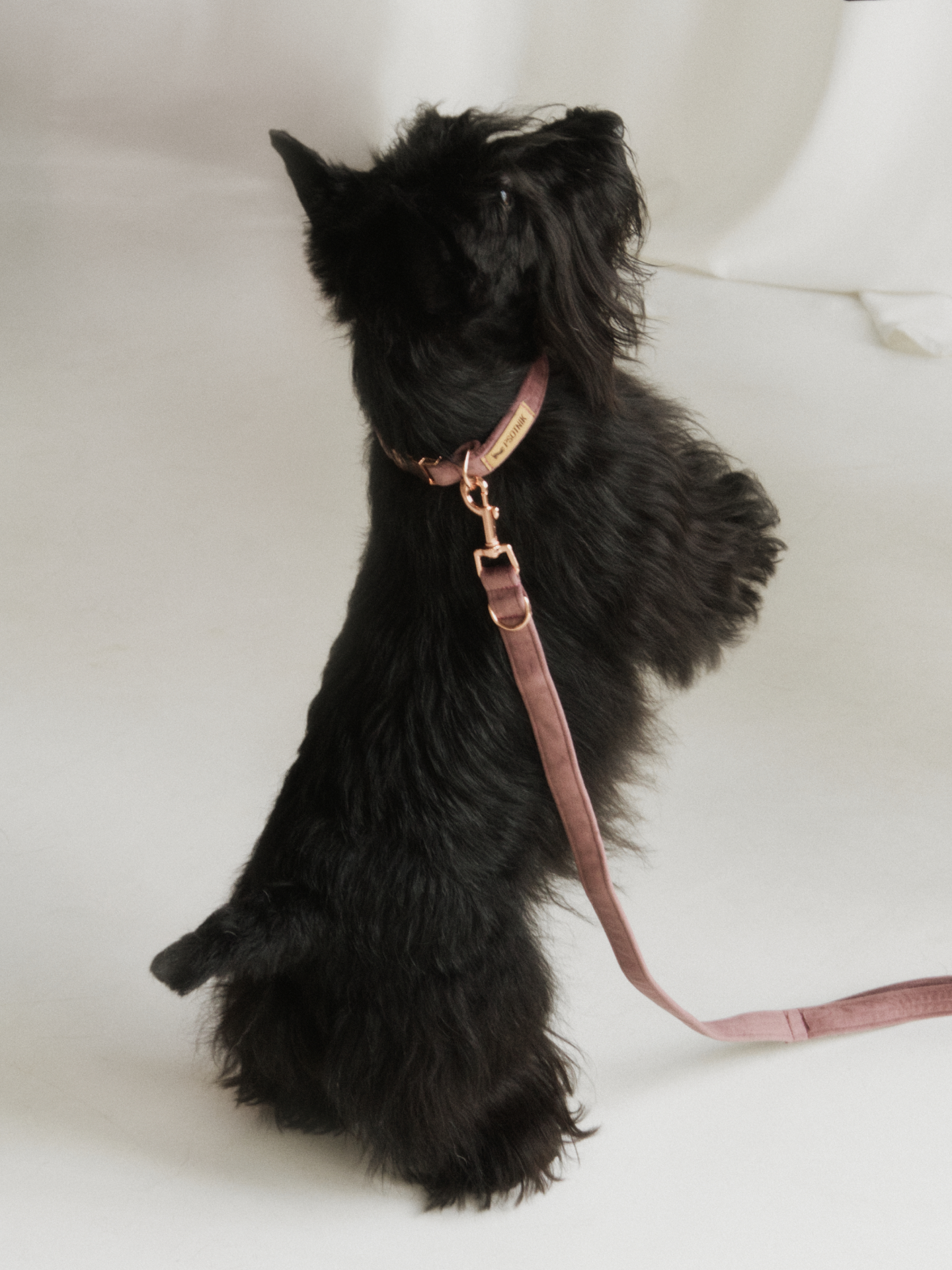 Obroża z klamrą wrzos - obrazek 4