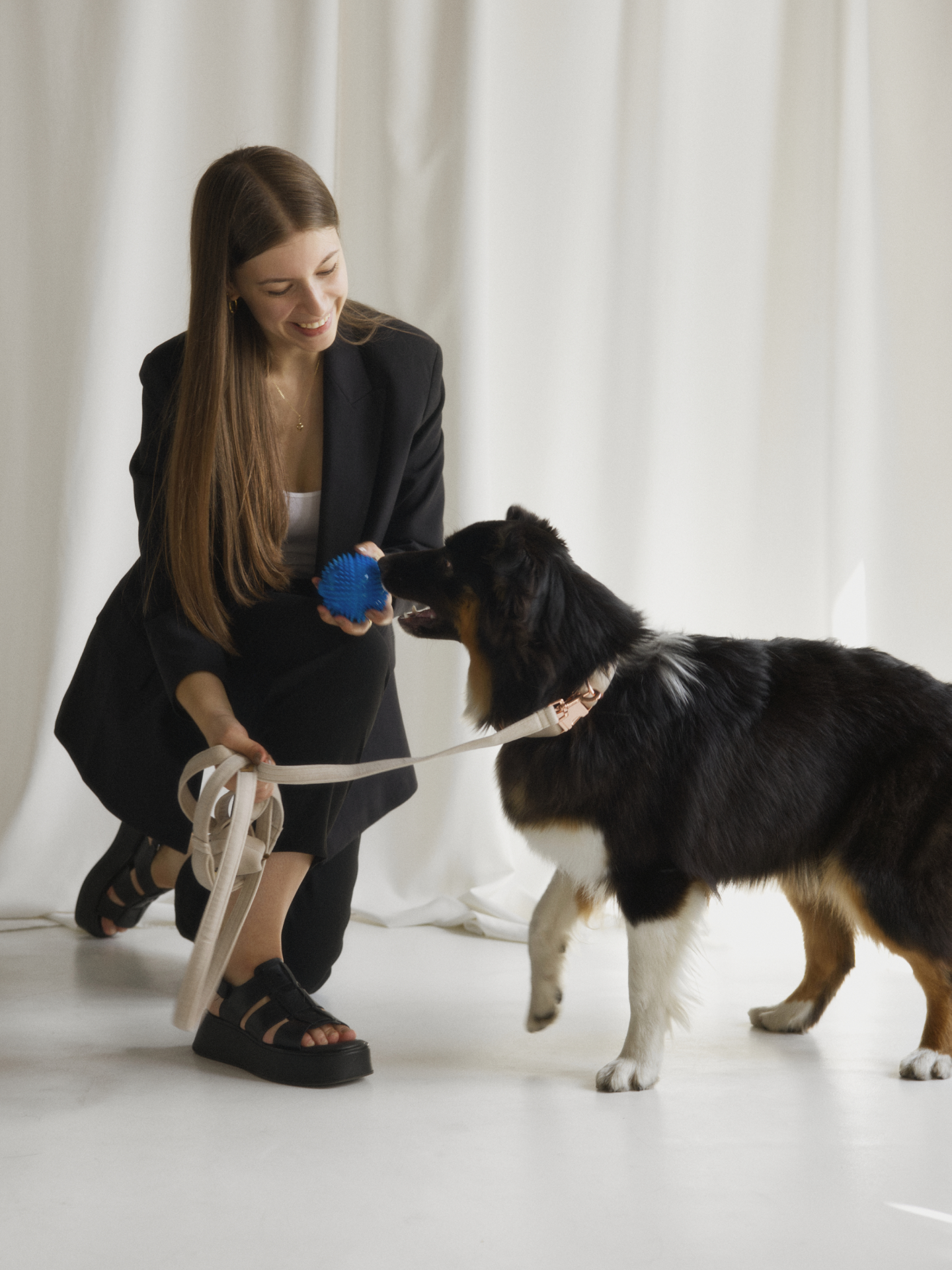 Zdjęcie psa w komplecie smycz miejska i obroża w kolorze jasnego beżu