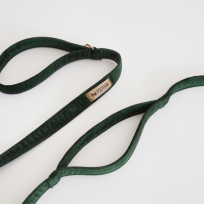 Smycz miejska dla psa w kolorze butelkowej zieleni