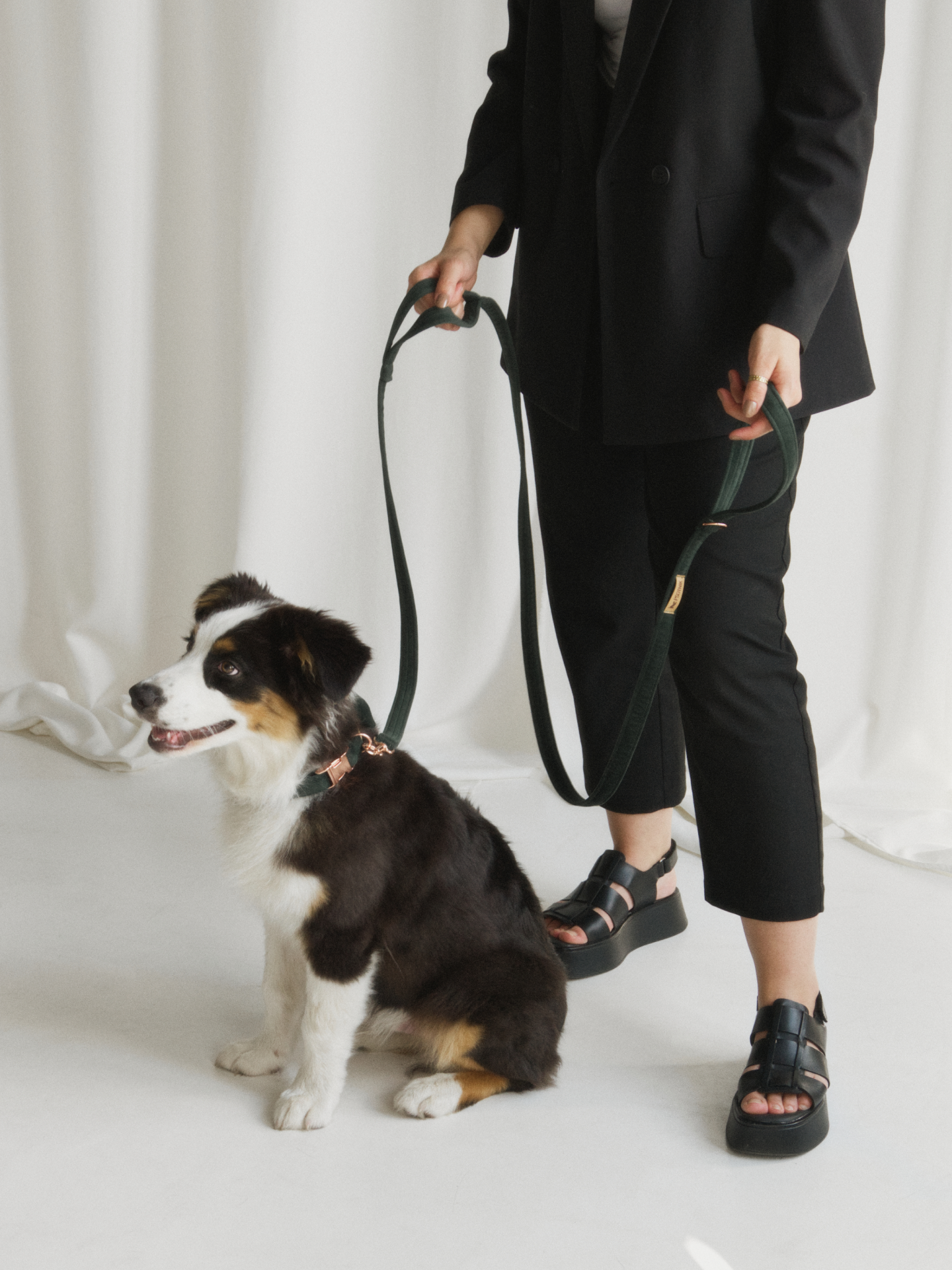 Zdjęcie psa w komplecie welurowej smyczy i obroży w kolorze butelkowej zieleni