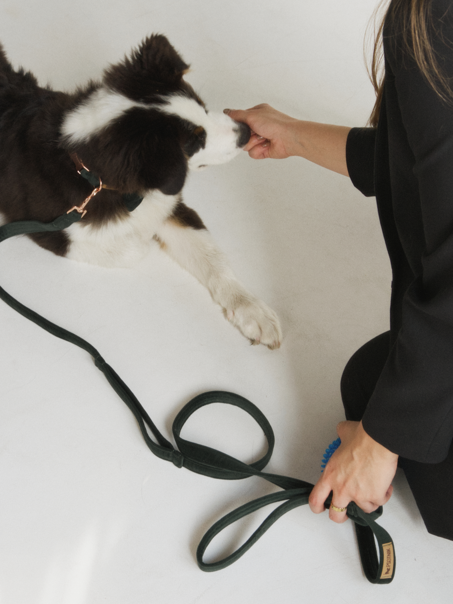 Zdjęcie psa z założoną smyczą w kolorze butelkowej zieleni