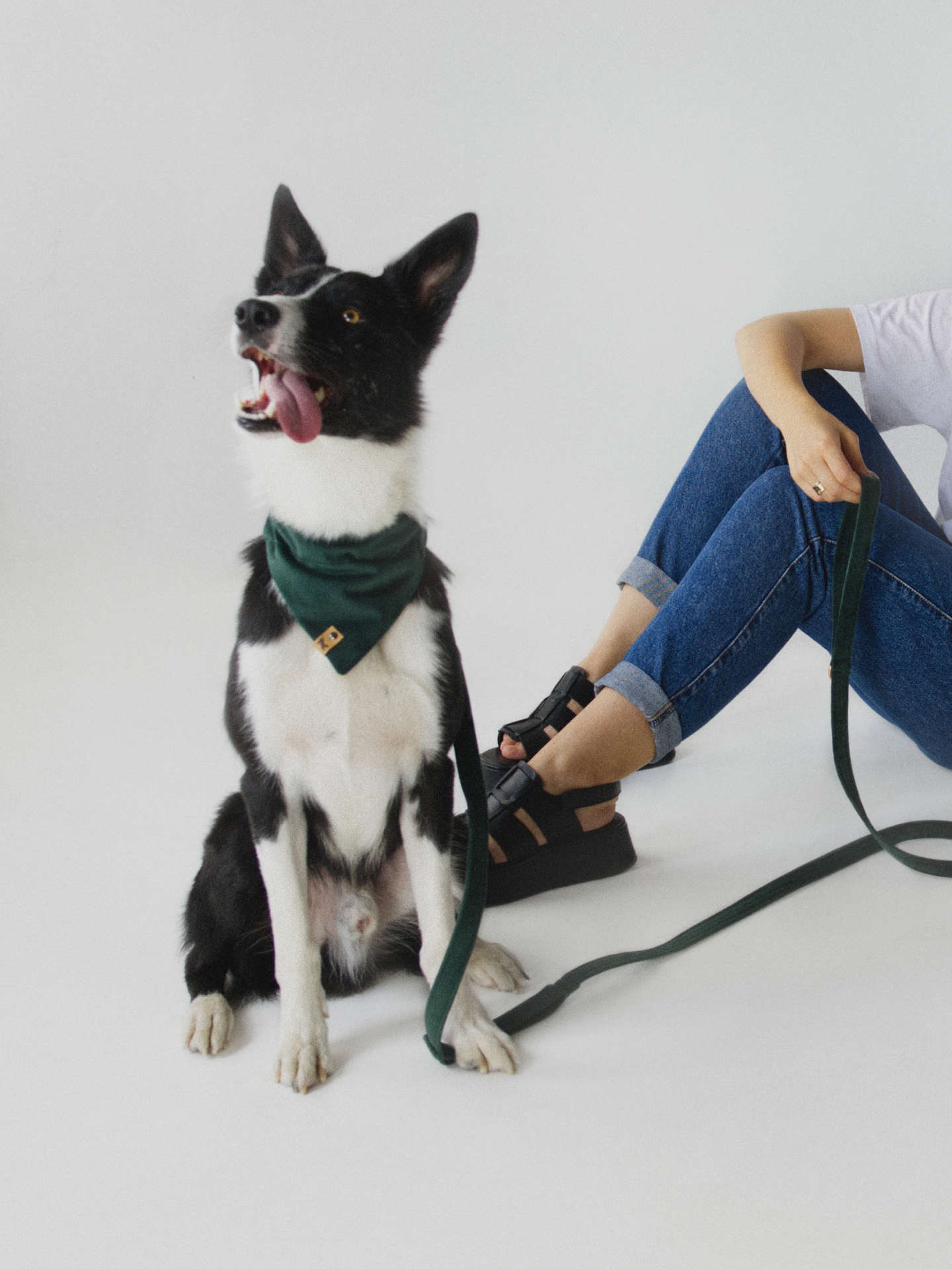 Zdjęcie psa w bandanie w kolorze butelkowej zieleni