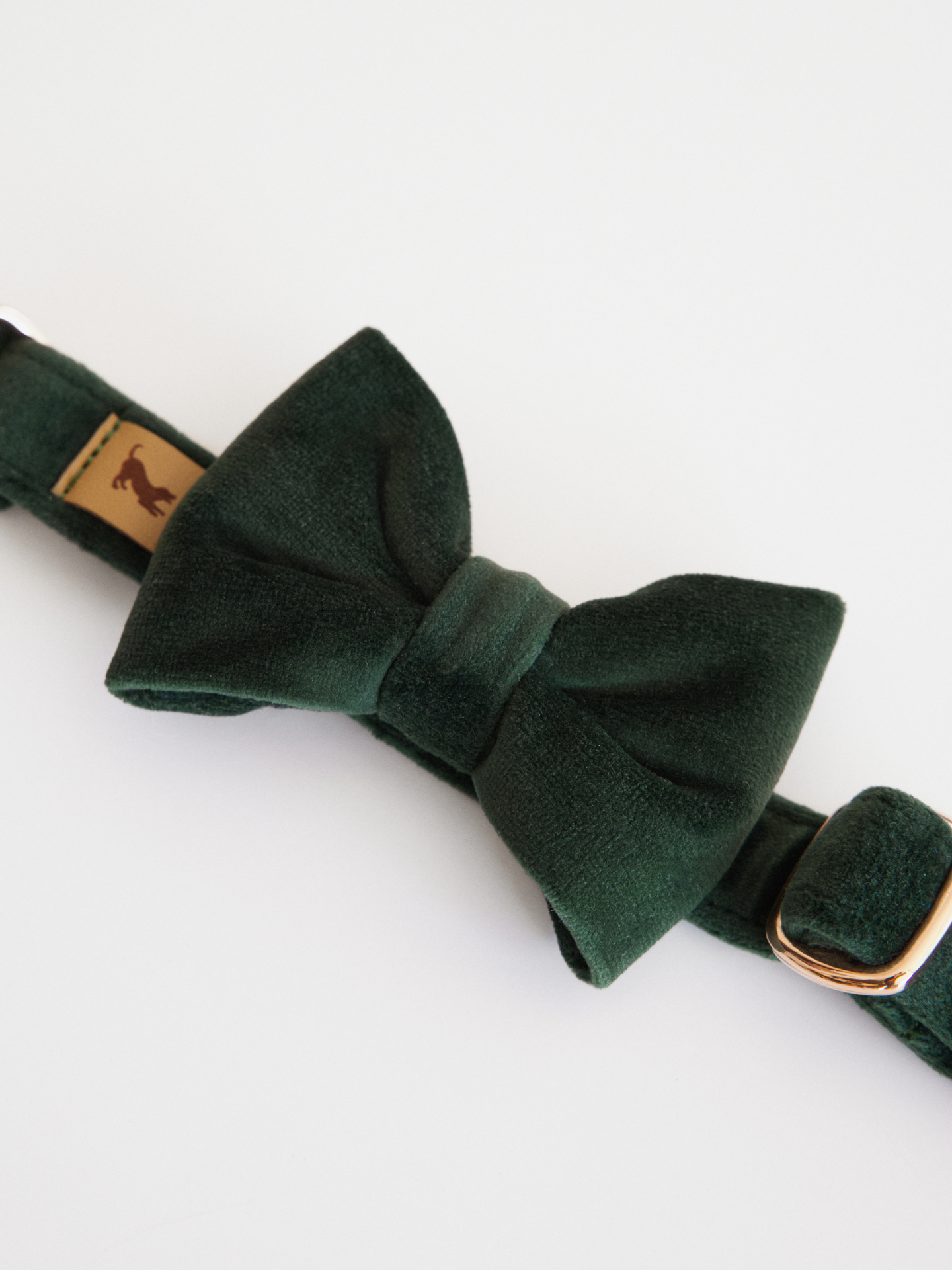 Welurowa kokarda dla psa w kolorze butelkowej zieleni założona na obrożę