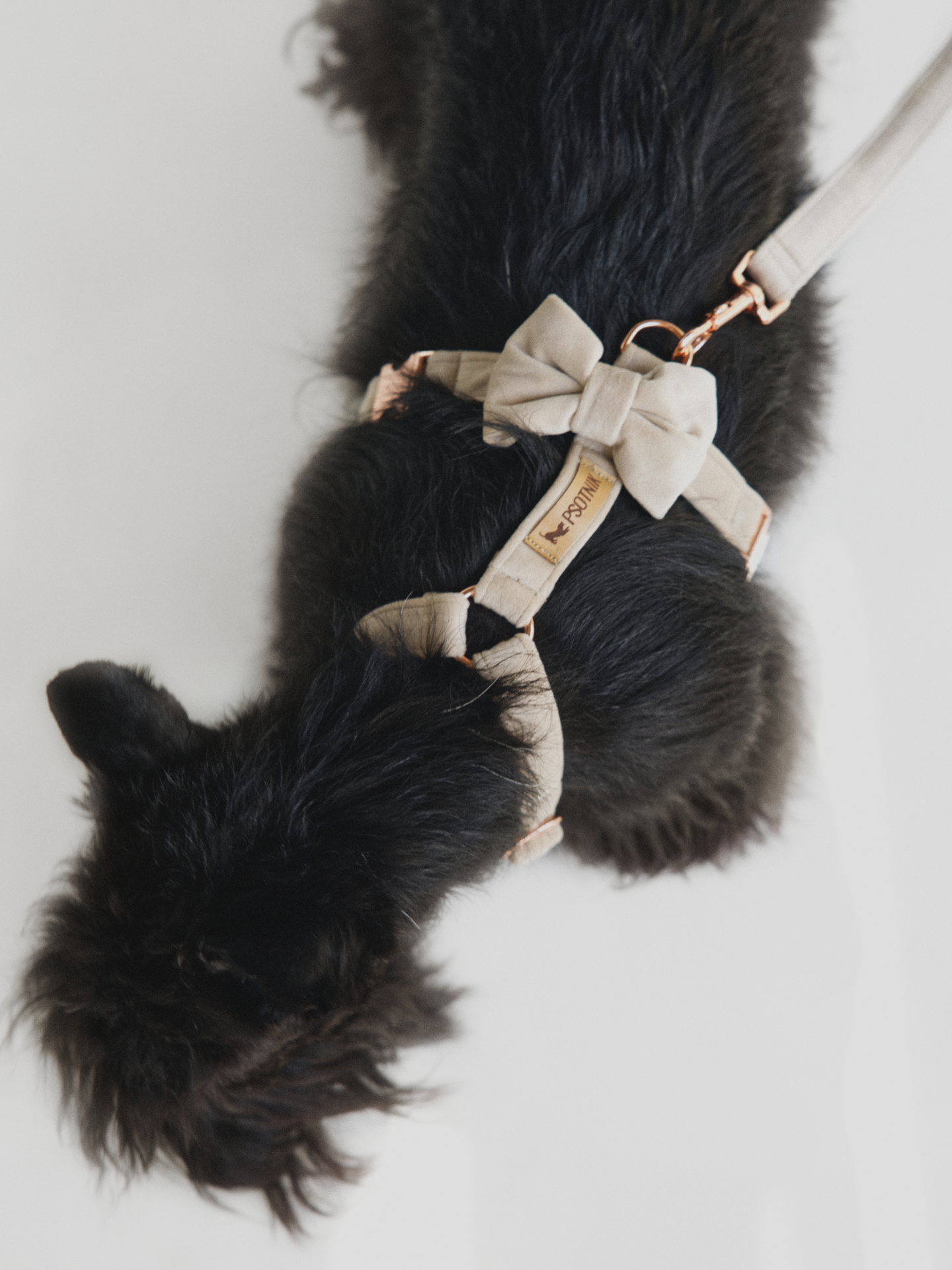 Szelki typu guard jasny beż - obrazek 5