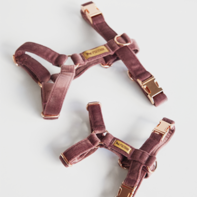 Welurowe wrzosowe szelki typu guard