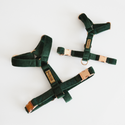 Szelki dla psa typu guard w kolorze butelkowej zieleni