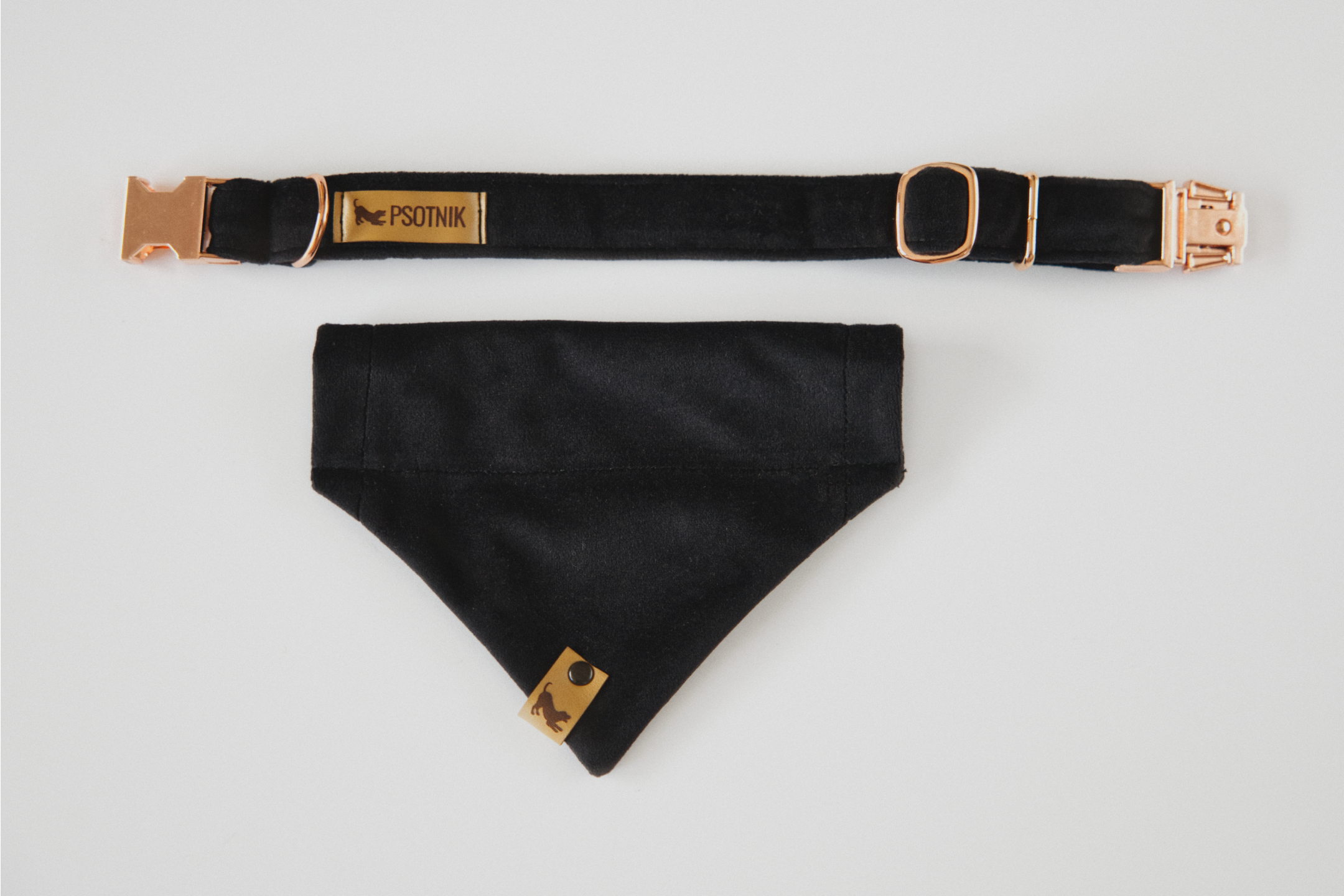 Bandana i obroża dla psa w kolorze czerni