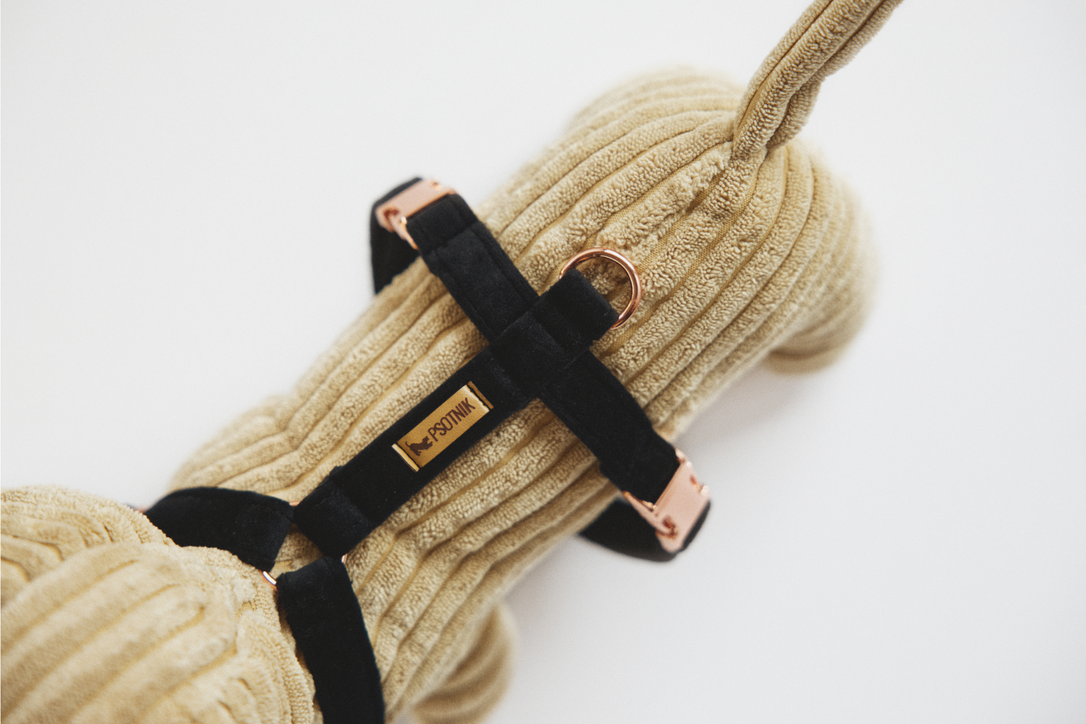 Zdjęcie szelek dla psa typu guard w kolorze czerni od góry