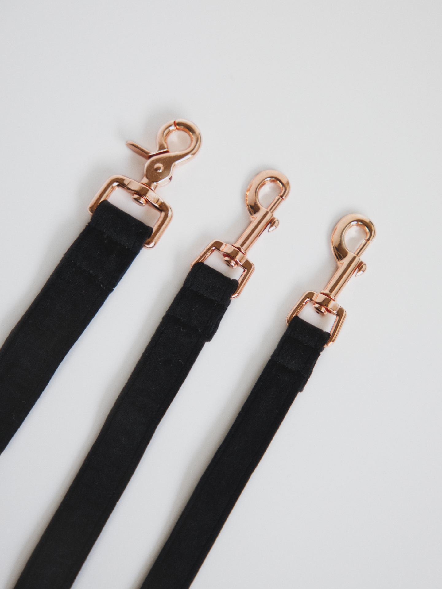 Różne szerokości smyczy dla psa w kolorze czerni