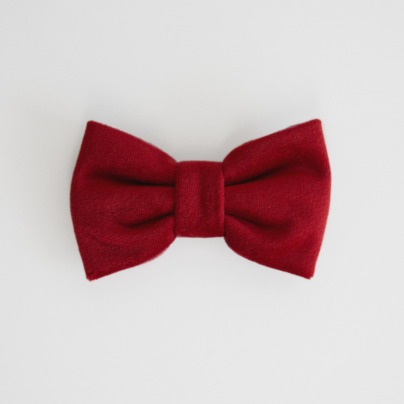 Bordowa welurowa kokarda dla psa