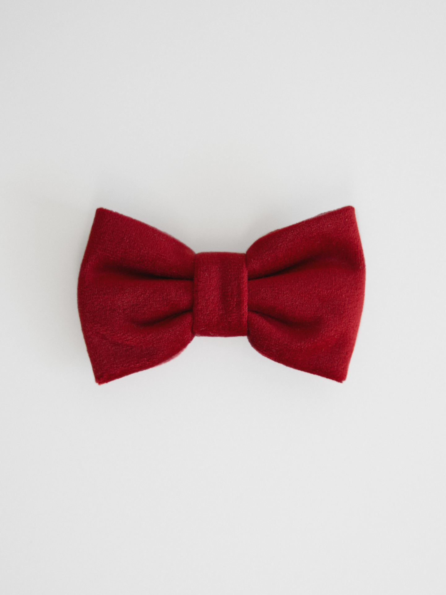 Bordowa welurowa kokarda dla psa