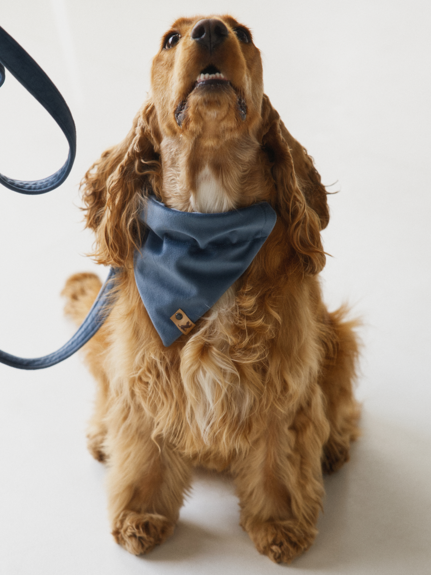 Bandana niebieski - obrazek 4