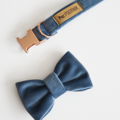 Welurowa kokarda dla psa w kolorze niebieskim