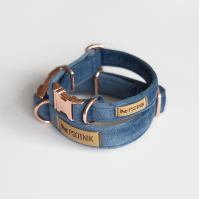 Welurowa obroża dla psa w kolorze niebieskim