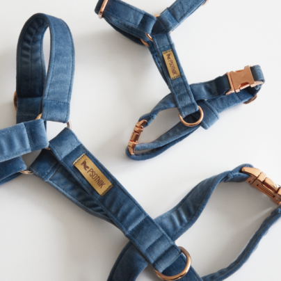 Welurowe niebieskie szelki typu guard dla psa