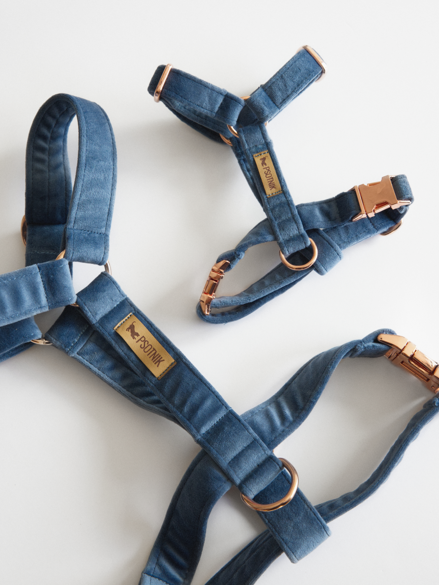 Welurowe niebieskie szelki typu guard dla psa