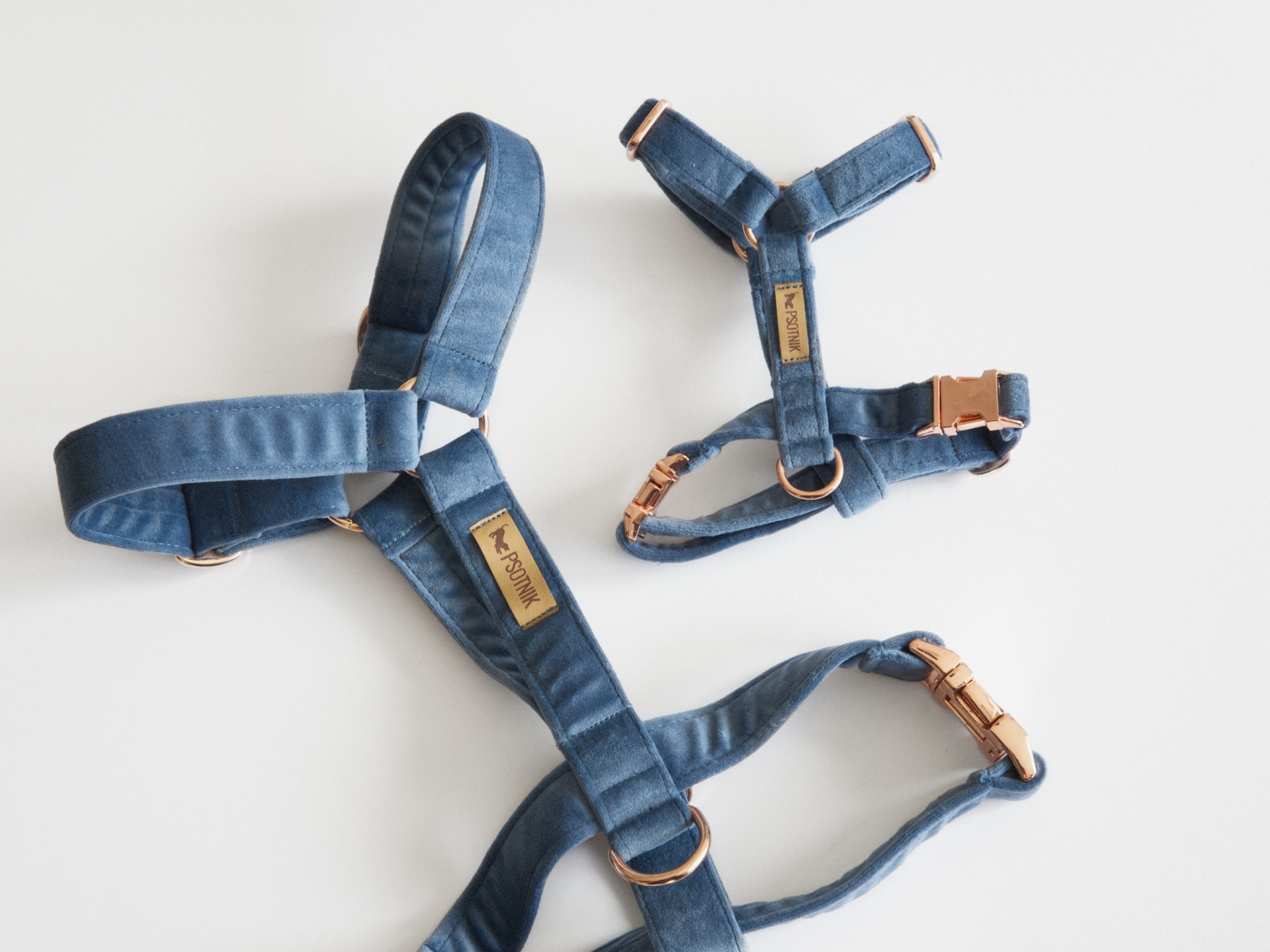 Welurowe niebieskie szelki typu guard dla psa