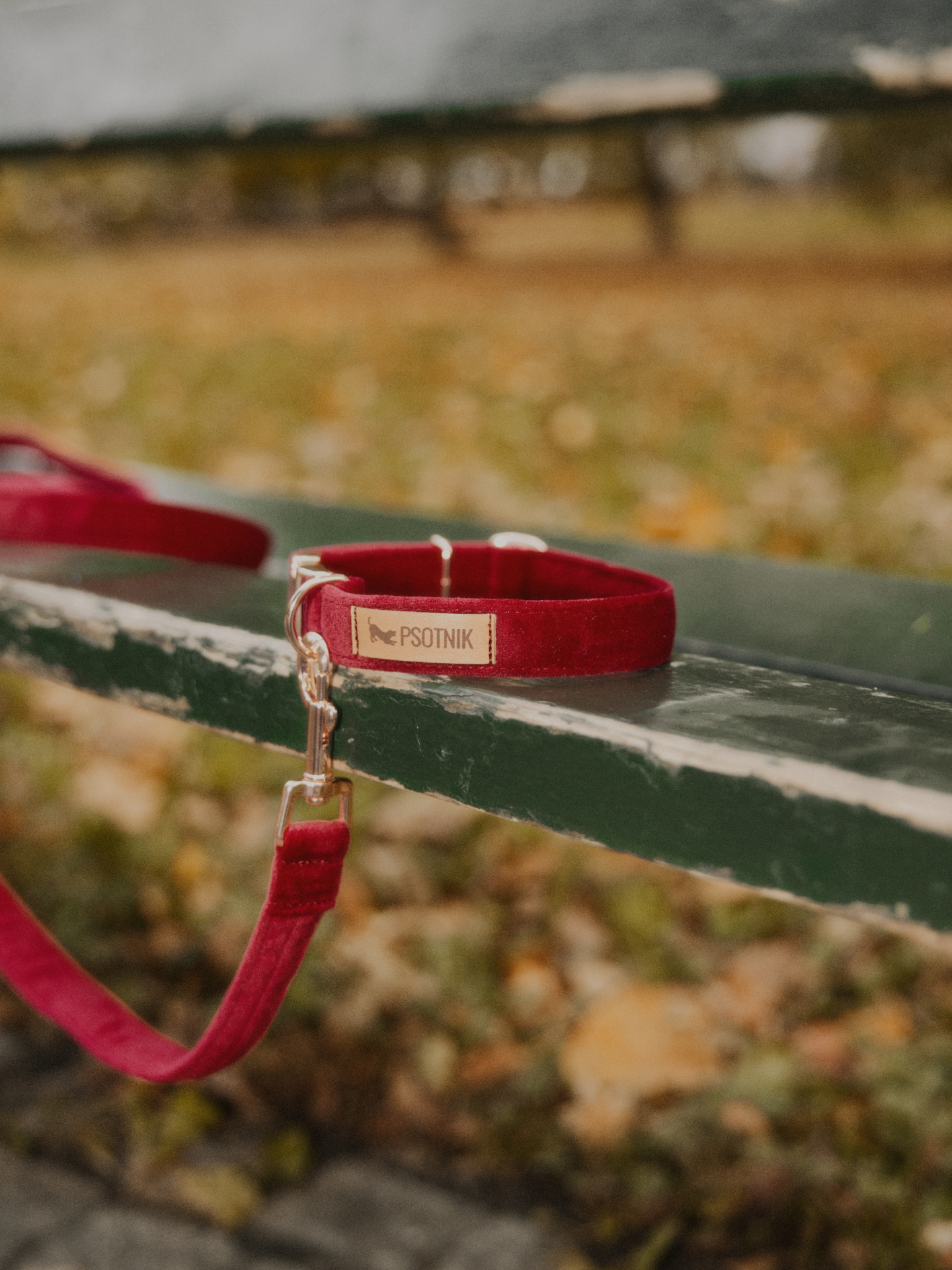 Obroża z klamrą bordo - obrazek 5