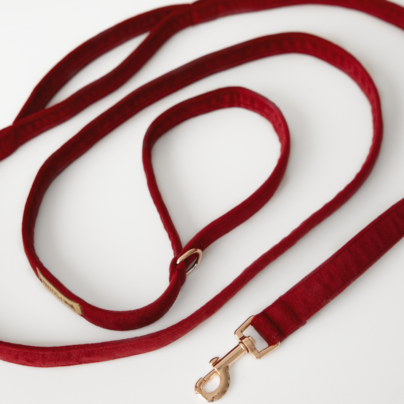 Bordowa welurowa smycz miejska dla psa