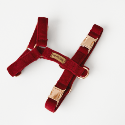 Welurowe bordowe szelki typu guard dla psa
