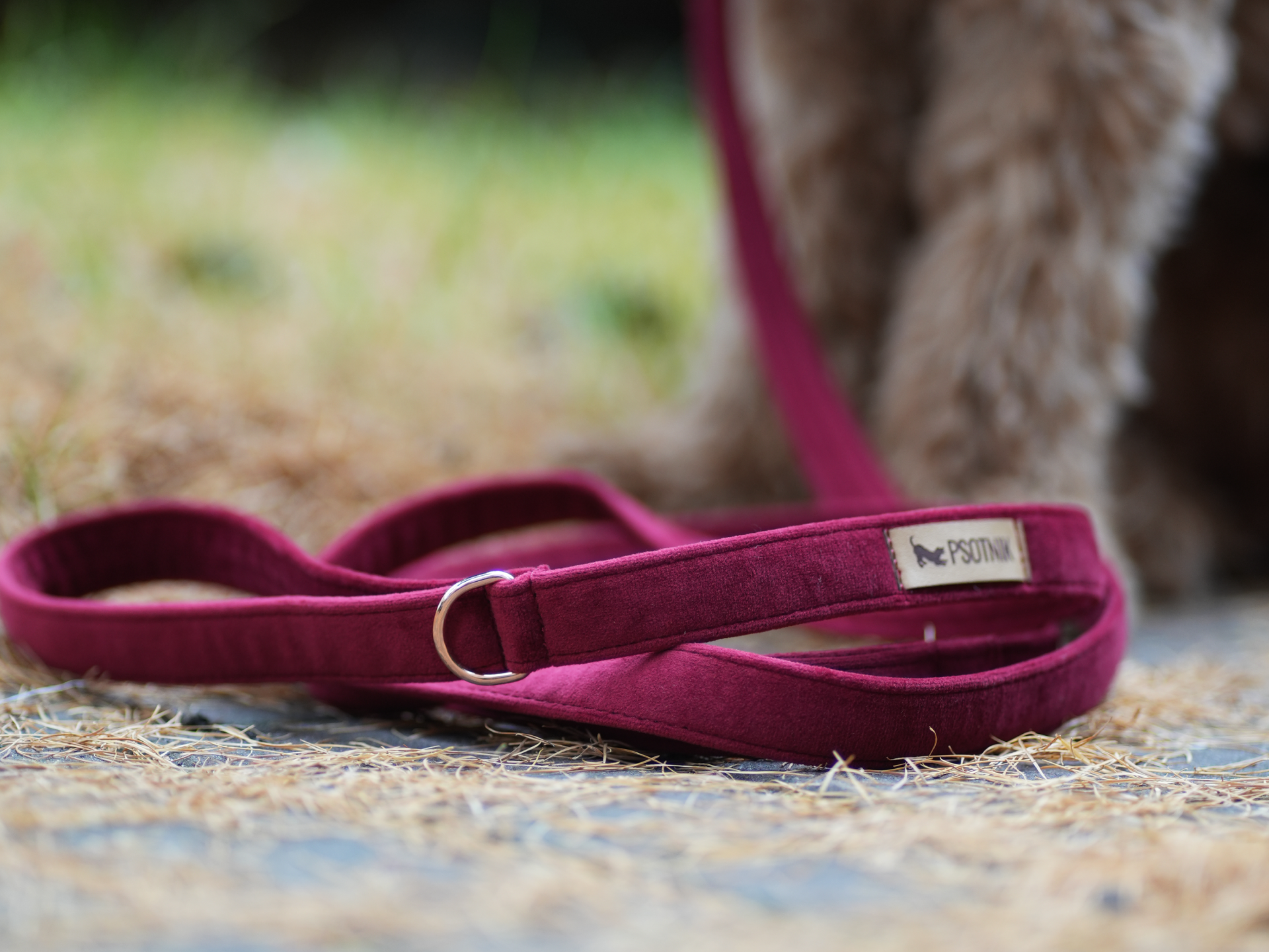 Zdjęcie bordowej welurowej smyczy miejskiej dla psa
