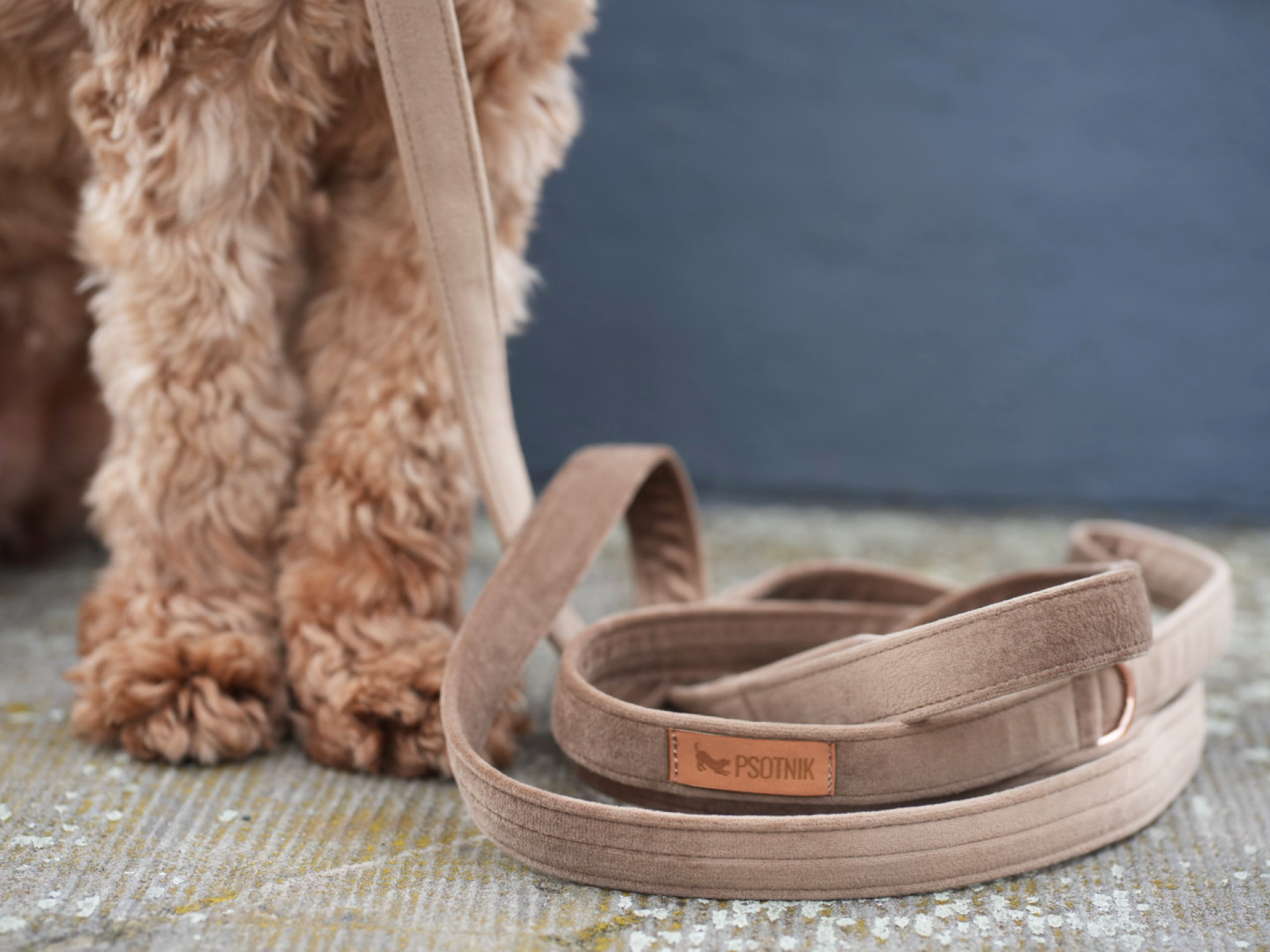 Zdjęcie brązowej welurowej smyczy miejskiej