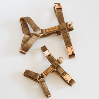 Brązowe welurowe szelki typu guard