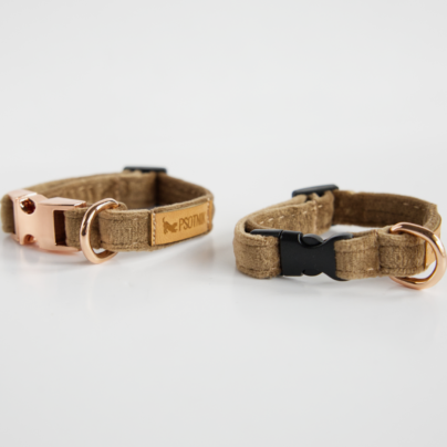 Obroża z klamrą XXS dla małego psa w kolorze brązowym