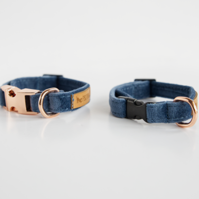 Obroża z klamrą XXS dla małego psa w kolorze niebieskim