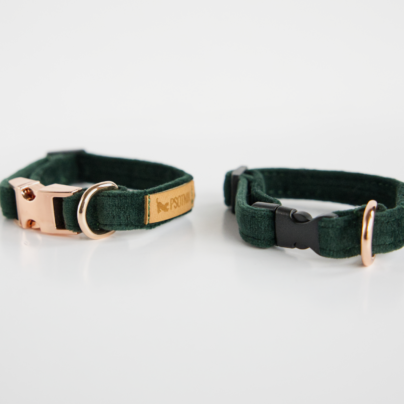 Obroża z klamrą XXS dla małego psa w kolorze butelkowej zieleni