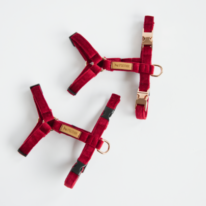 Szelki typu guard XXS dla małego psa w kolorze bordowym