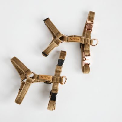 Szelki typu guard XXS dla małego psa w kolorze brązowym