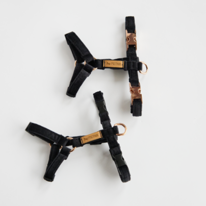 Szelki typu guard XXS dla małego psa w kolorze czarnym