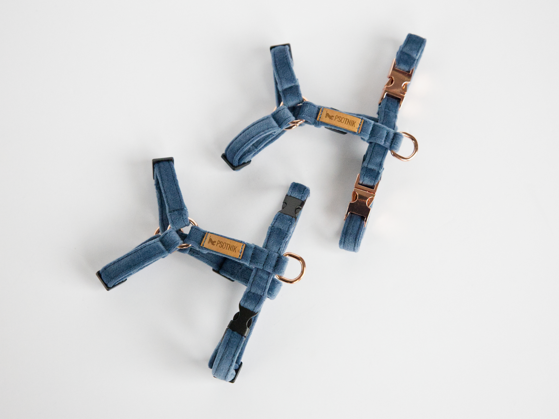 Szelki typu guard XXS dla małego psa w kolorze niebieskim