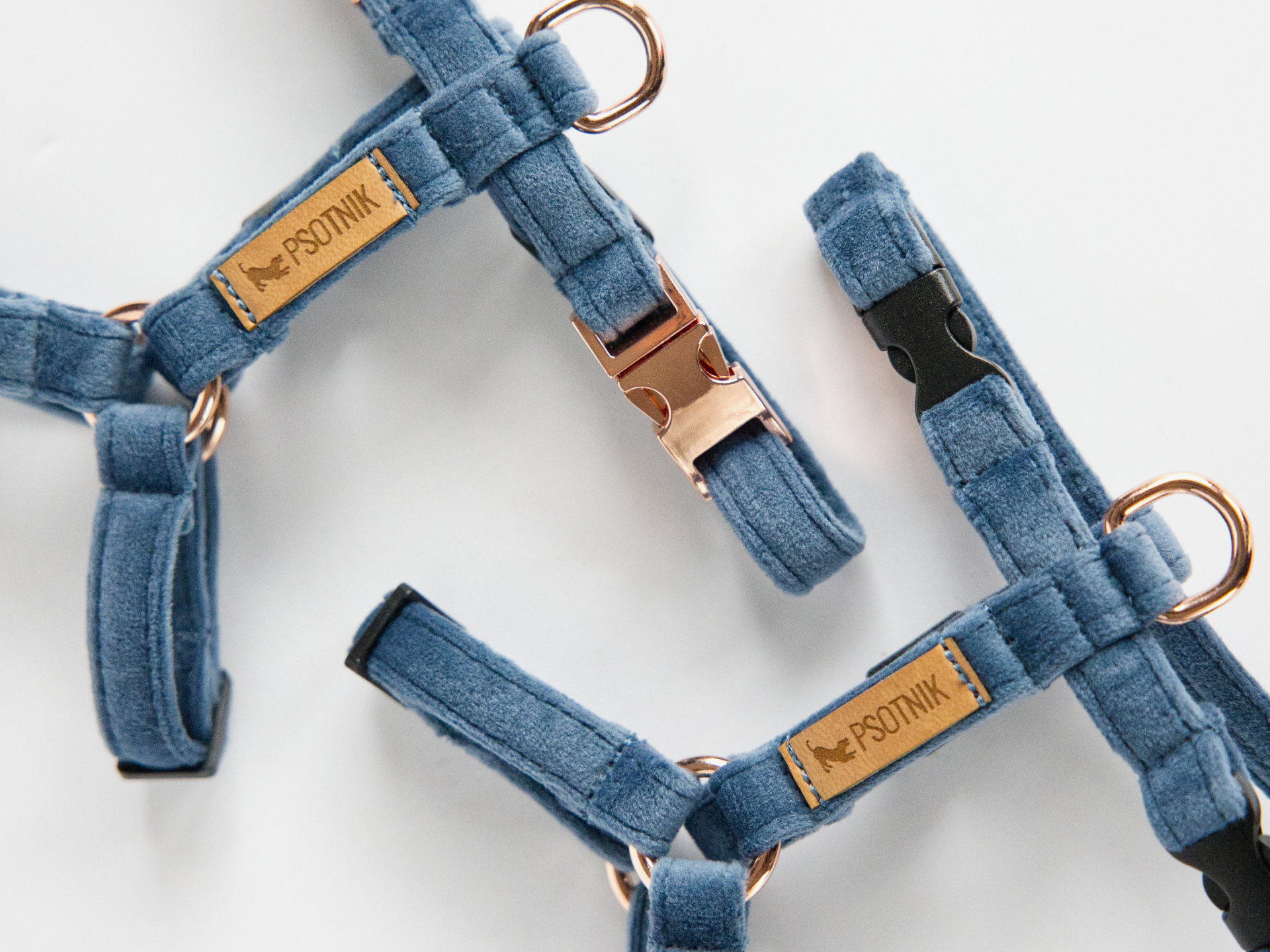 Szelki typu guard XXS dla małego psa w kolorze niebieskim