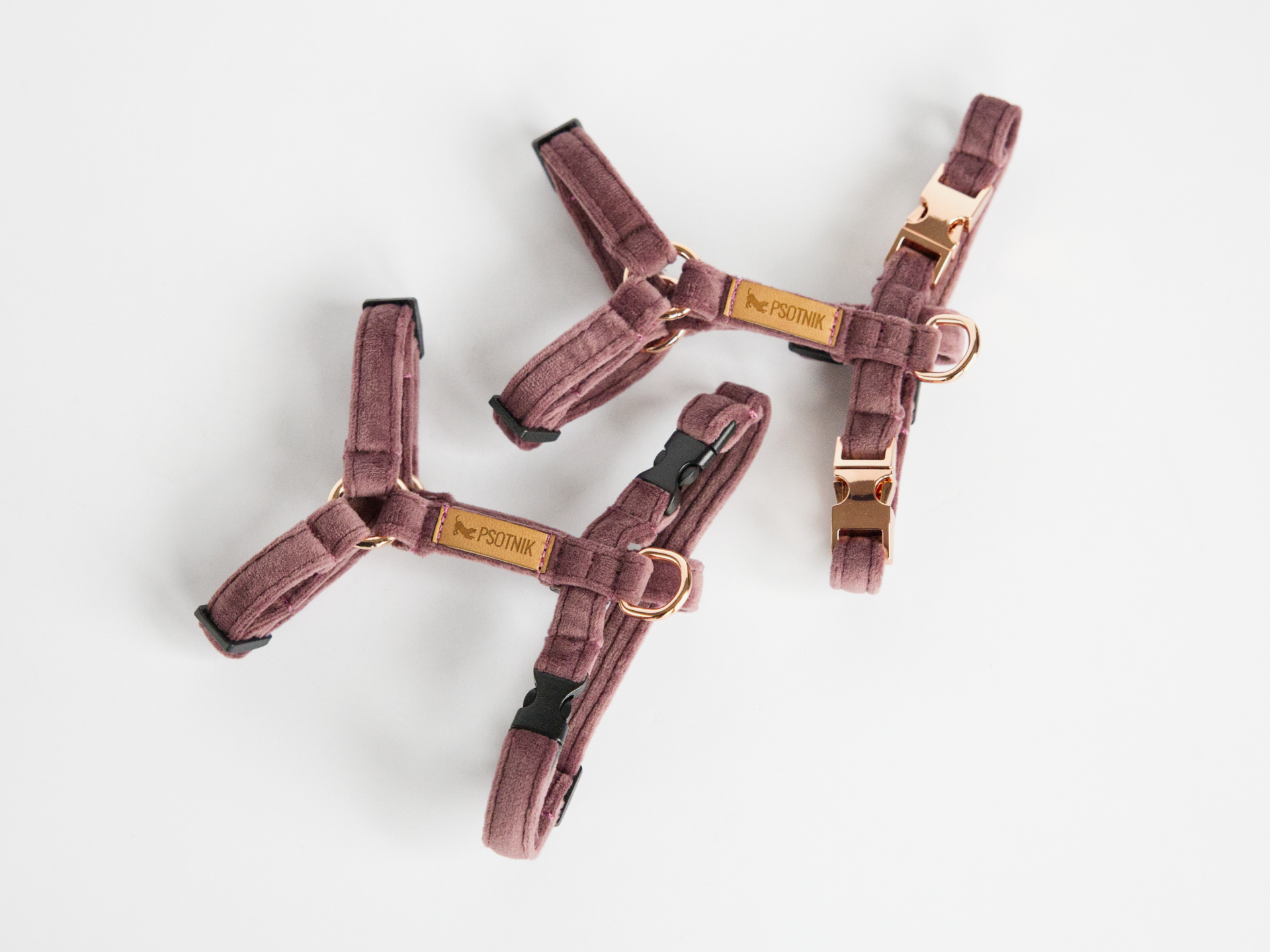 Szelki typu guard XXS dla małego psa w kolorze wrzosu