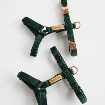 Szelki typu guard XXS dla małego psa w kolorze butelkowej zieleni