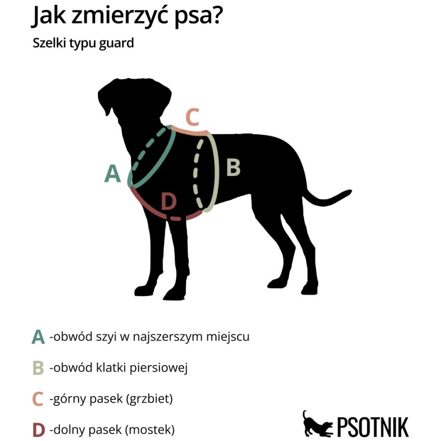 Grafika przedstawiająca jak zmierzyć wymiary psa dla szelek guard